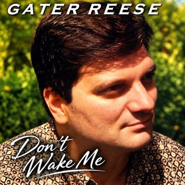 Cover art for Don't Wake Me